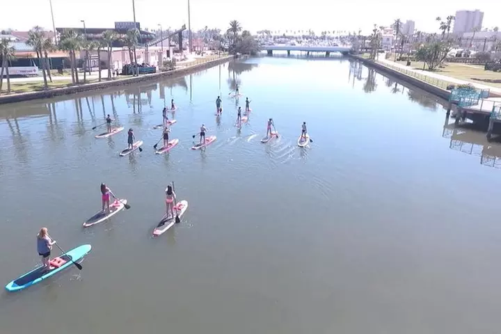 Dolphin and Manatee Stand Up Paddleboard Tour in Daytona Beach