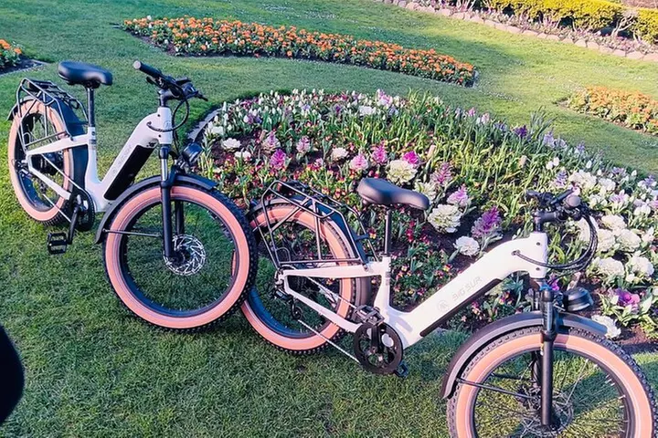 Summer of Love San Francisco Guided eBike Tour Golden Gate Park