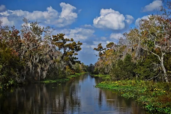 Small-Group Bayou Airboat Ride with Transport from New Orleans