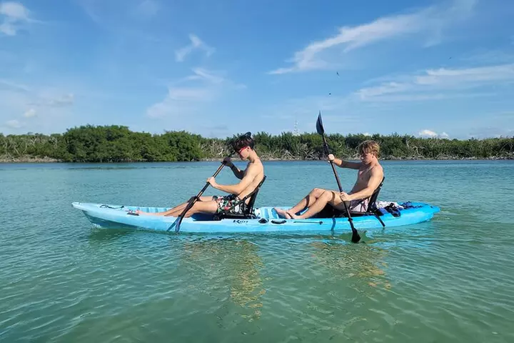Kayak through Mangrove Forests in the Florida Keys