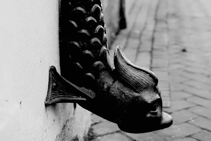 Genteel and Bard's Savannah Dark History and Ghost Encounter Walkin...