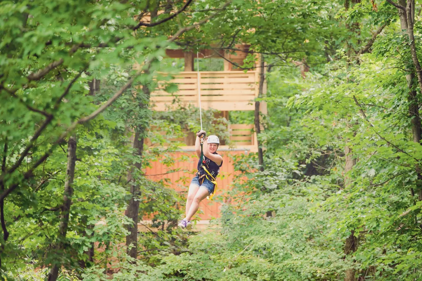 $74.50 For A 2-Hour Treetop Zip Tour (Reg $149) - Second Medium