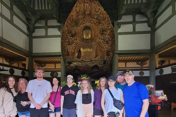 Next Level Oahu Circle Island Tour Snorkel w/Turtles and Byodo-In