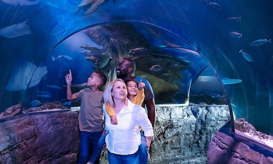 Image 9: Combo Ticket: Madame Tussauds & SEA LIFE London Aquarium