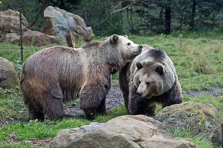 Nature Wildlife Package to California's Redwoods with Aquarium and Zoo Visit - Primary Image
