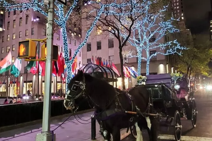 New York City Christmas Lights Private Horse Carriage Ride