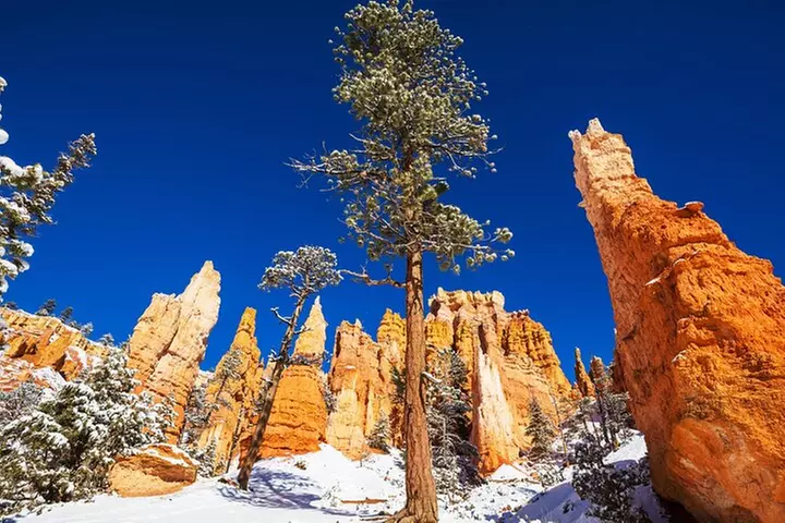 Bryce Canyon National Park Self-Guided Driving Audio Tour
