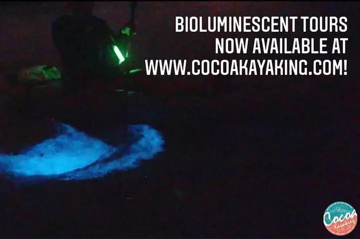 Thousand Islands Bioluminescent Kayak Tour with Cocoa Kayaking!