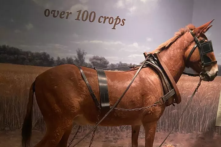 Full-Day Tour of Washington DC with Mount Vernon & Old Alexandria