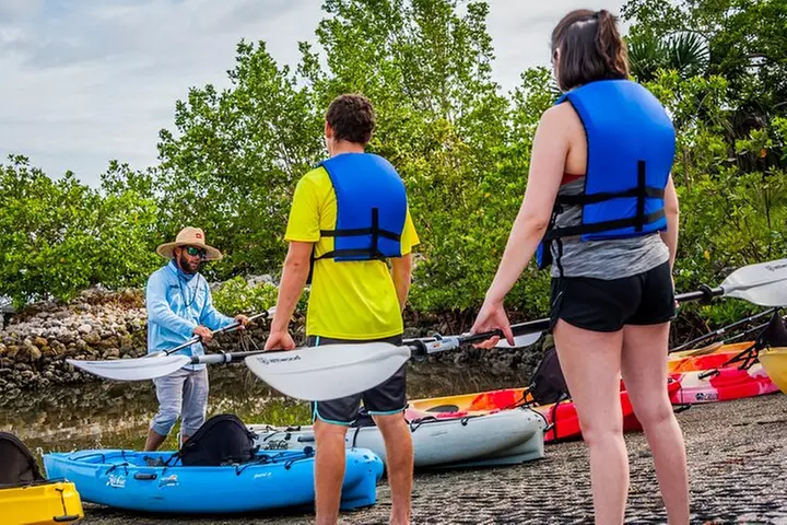 Rookery Bay Kayak Adventure – Mangroves, Wildlife & Photos