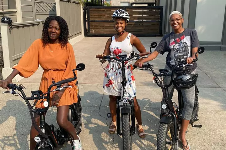 Full Day E-Bike Rental