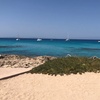 Image 14: Excursión a Formentera desde Ibiza con Transfer y Playas
