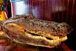 Tampa Walking Food Tour with Secret Food Tours - Second Medium