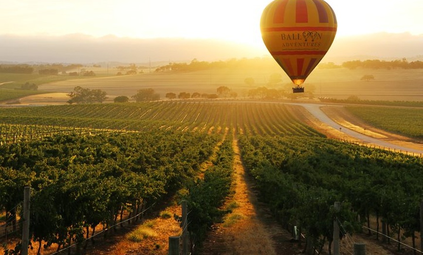 Image 3: Barossa Valley Hot Air Balloon Ride with Breakfast