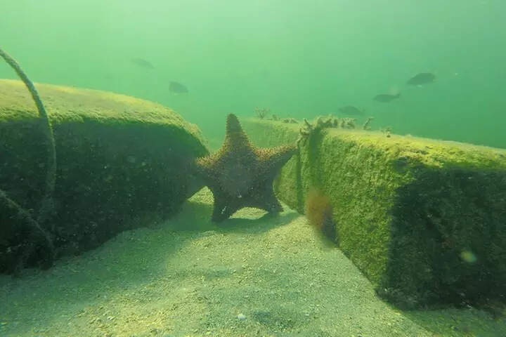 Florida Key Private Islands Exclusive Day Trip from Miami w/activ