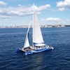 Image 7: Catamarán a vela al Atardecer de 2 horas de Duración