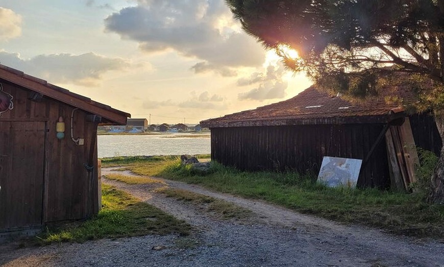 Image 12: Visite privée à Dune Du Pilat et Oyster Village