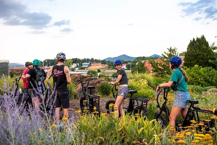 3-Hour E-Bike Sightseeing and Breweries Tour in Roanoke - Primary Image