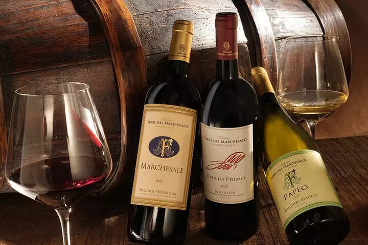 Bolgheri: "CLASSIC" Tour della cantina con degustazione - Primary Image