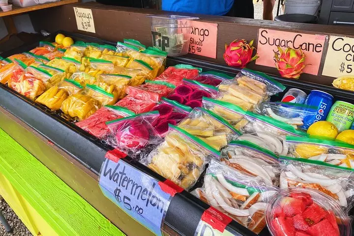 Oahu Island Experience feat the North Shore (Small Group Tour)
