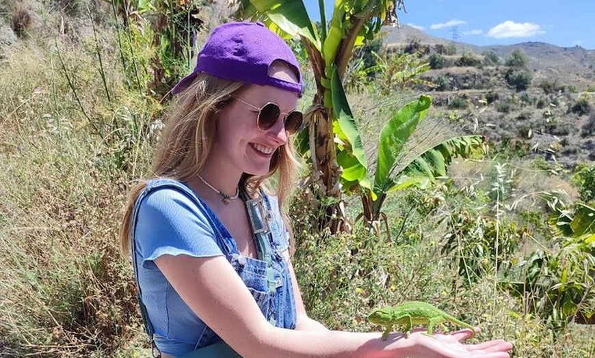 Image 4: Tour Guiado Explora nuestra Finca de Café y Frutas Tropicales