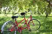 Bike & Brunch - Grab & Go - Second Medium