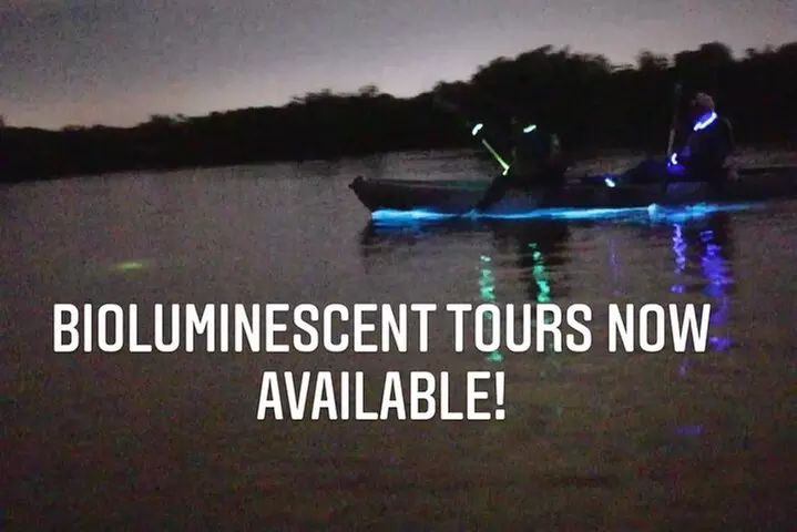 Thousand Islands Bioluminescent Kayak Tour with Cocoa Kayaking!