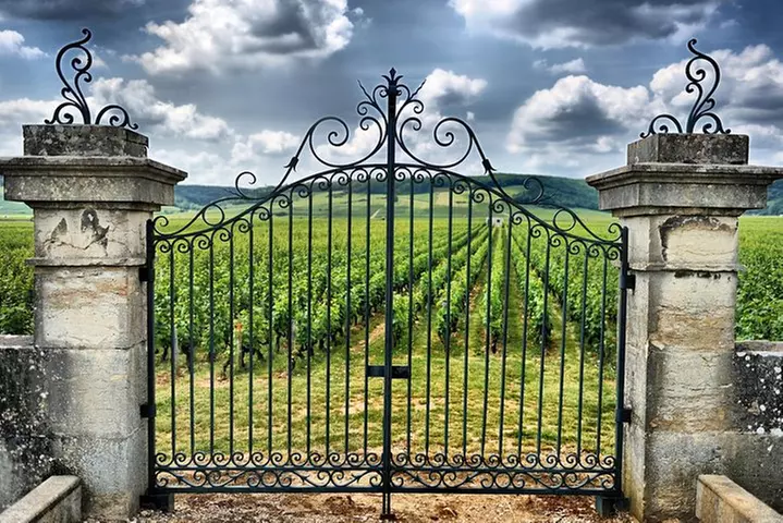 Excursion d'une journée à Saint-Émilion avec visite et dégustations...