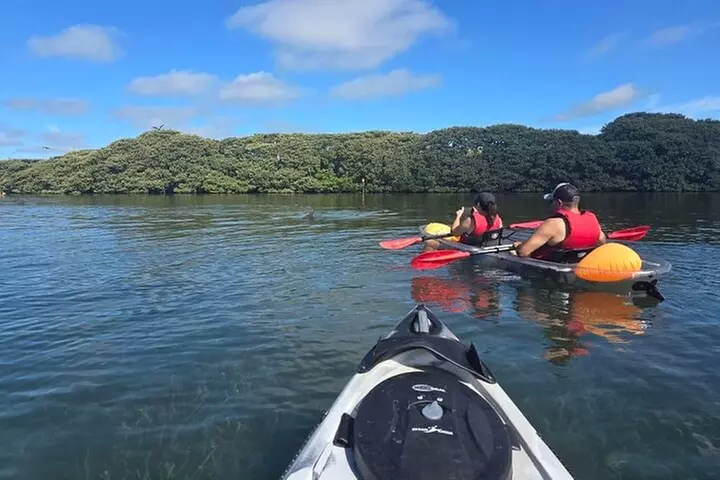 Kayaking Clear through Clearwater