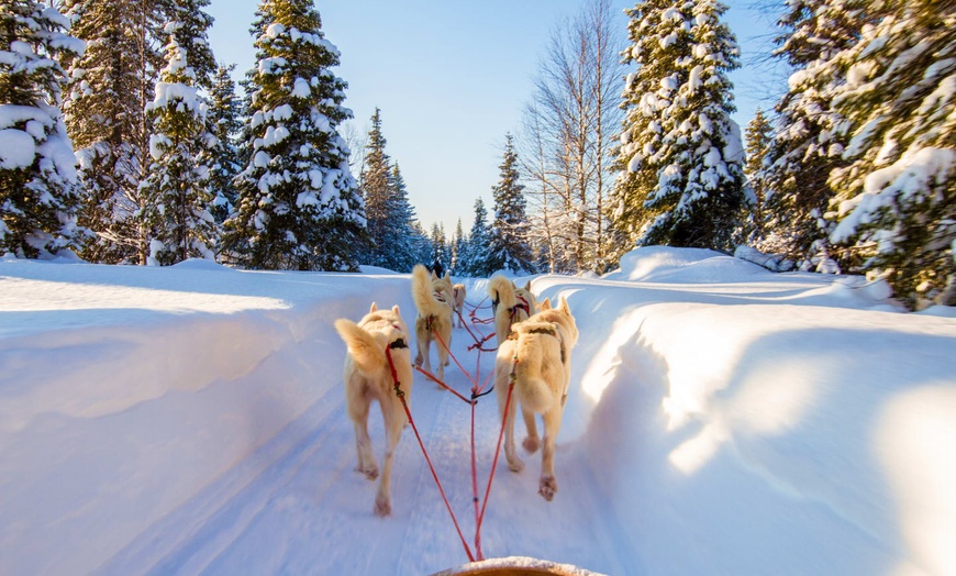 Image 7: ✈ LAPONIE | Rovaniemi - Séjour multi activités à Rovaniemi 3* - Mul...