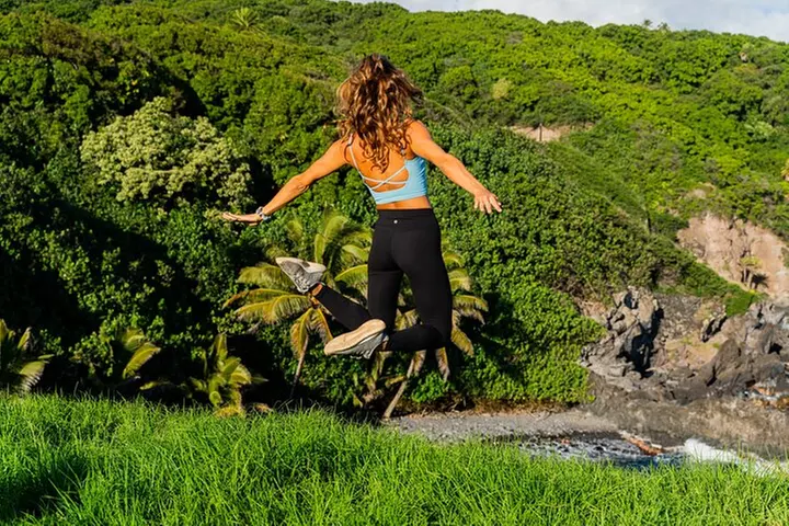 VIP Private Full-Day Road to Hana Tour from Lahaina-Kapalua - Primary Image