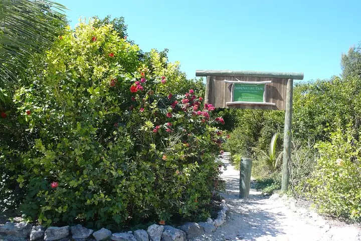 Day Trip to Bimini, Bahamas - Ferry Tickets