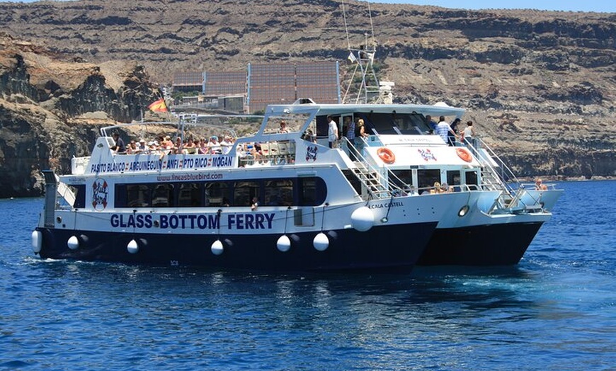 Image 8: Tour de Medio-Dia en Crucero-Observación de Delfines y Ballenas