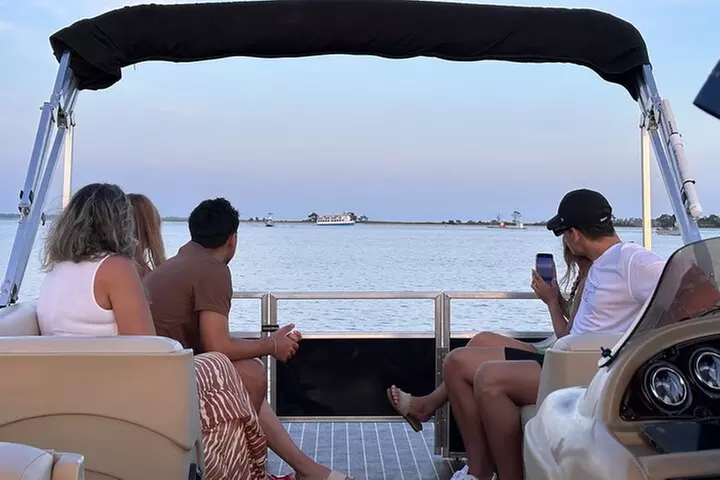 Private 2-Hour Dolphin and Sightseeing Tour