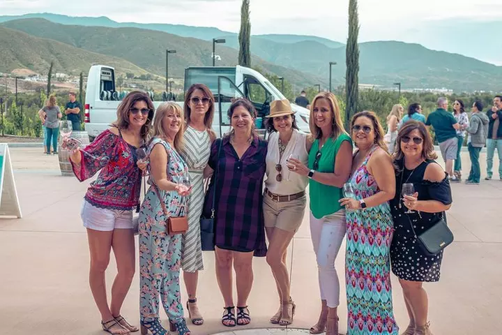 Private Temecula Wine Tour in Mercedes Convertible for up to 18 Guests - Primary Image