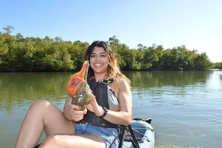 Kayak Tour Adventure Marco Island and Naples Florida
