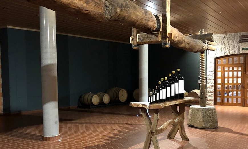 Image 30: Tour Ribera del Duero : Tres Bodegas y Almuerzo desde Madrid
