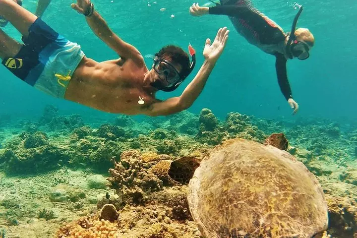 Oahu Circle Island: Snorkel with Turtles & Explore Turtle Beach - Primary Image