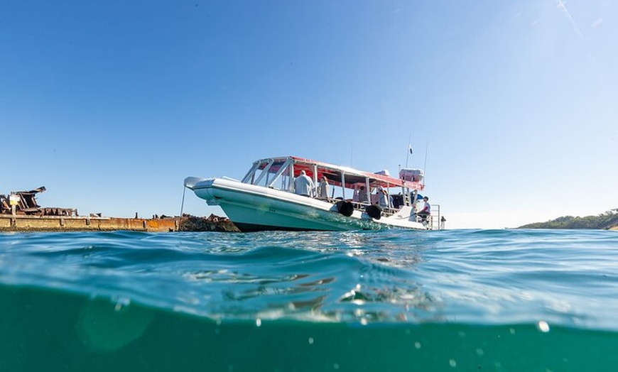 Image 2: Dunwich: Moreton Bay Islands Boat Tour with Swimming