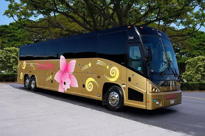 Pearl Harbor, USS Arizona Memorial & Honolulu City Tour