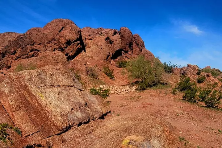 Exclusive: Happy Cactus Tour to Apache Trail & Superstition Mtn