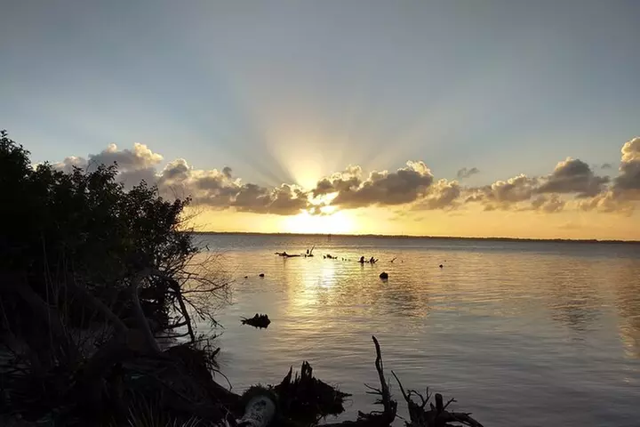 Sunset kayaking tour at Manatee Cove with Manatee & Dolphin sightings - Primary Image