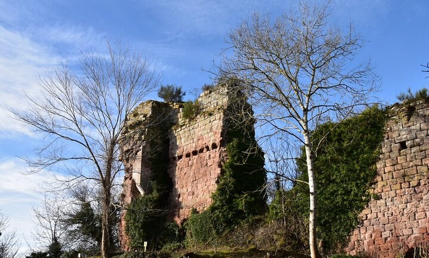 Image 9: Edinburgh coastline and Rosslyn Chapel Tour Experience