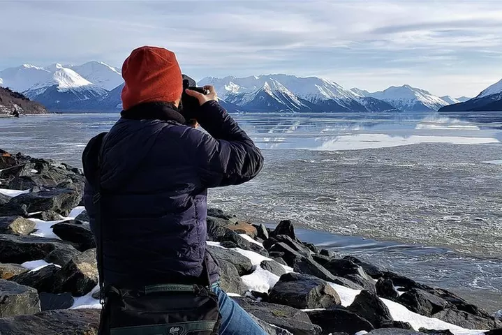 Wilderness, Wildlife, Glacier Experience from Anchorage