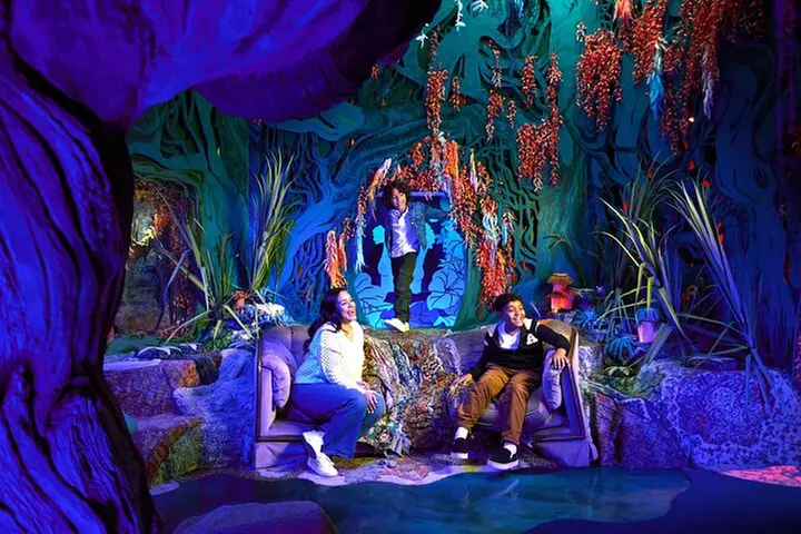 The Real Unreal at Meow Wolf Grapevine