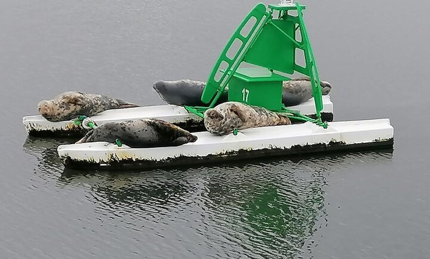 Image 7: Stunning 90-Minute Firth of Forth Sightseeing Cruise Adventure