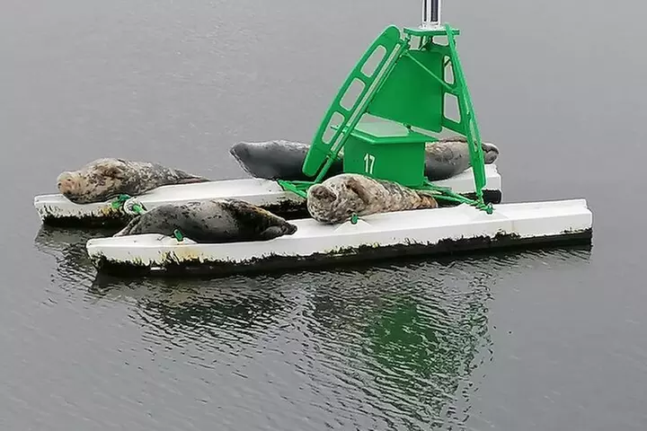 Stunning 90-Minute Firth of Forth Sightseeing Cruise Adventure