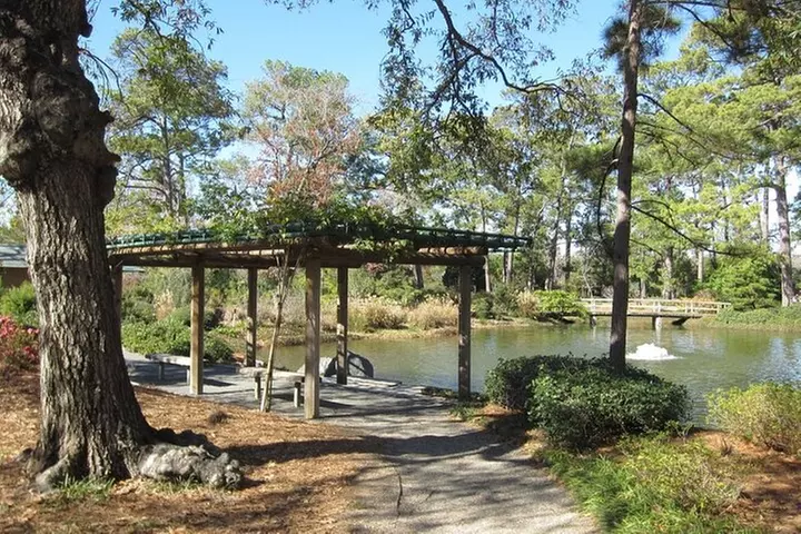 Self-Guided Scavenger Hunt: Houston's Museum District