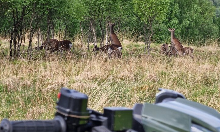 Image 6: Quad Bike Private Tour in Achaderry Estate