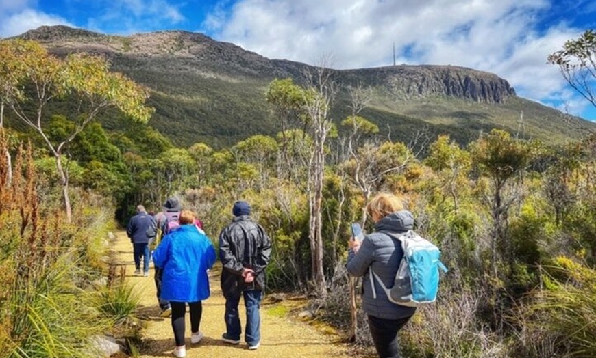 Image 6: Mt Wellington Ultimate Experience Tour from Hobart